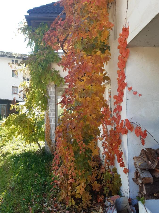 Locanda Rondolost Cencenighe Bagian luar foto